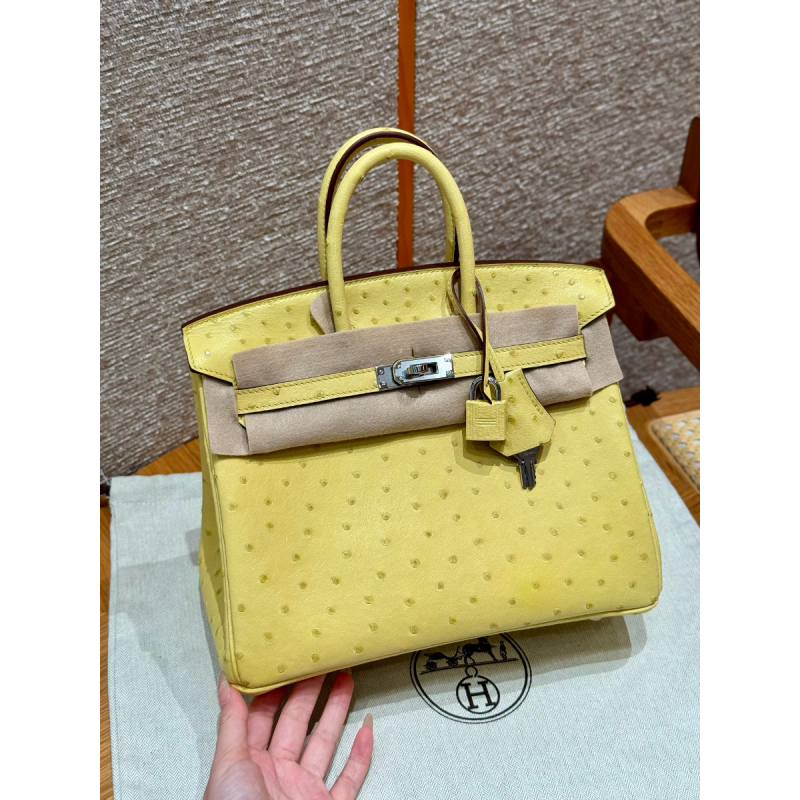 Pre-ordered Birkin 25 / 30  in Ostrich Leather-Lime